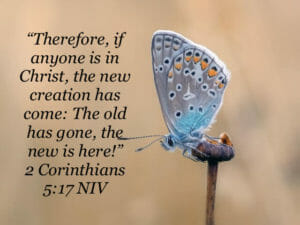 butterfly emerging from cocoon 2 Corinthians 5:17